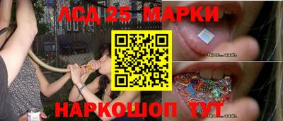 трава Сланцы
