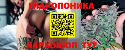 трава Сланцы