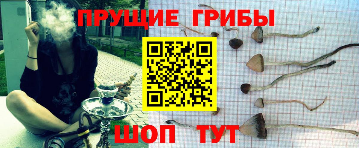 Галлюциногенные грибы мицелий  как найти   Новосибирск  Вход с VPN 