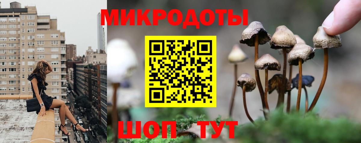 Галлюциногенные грибы мицелий Новосибирск